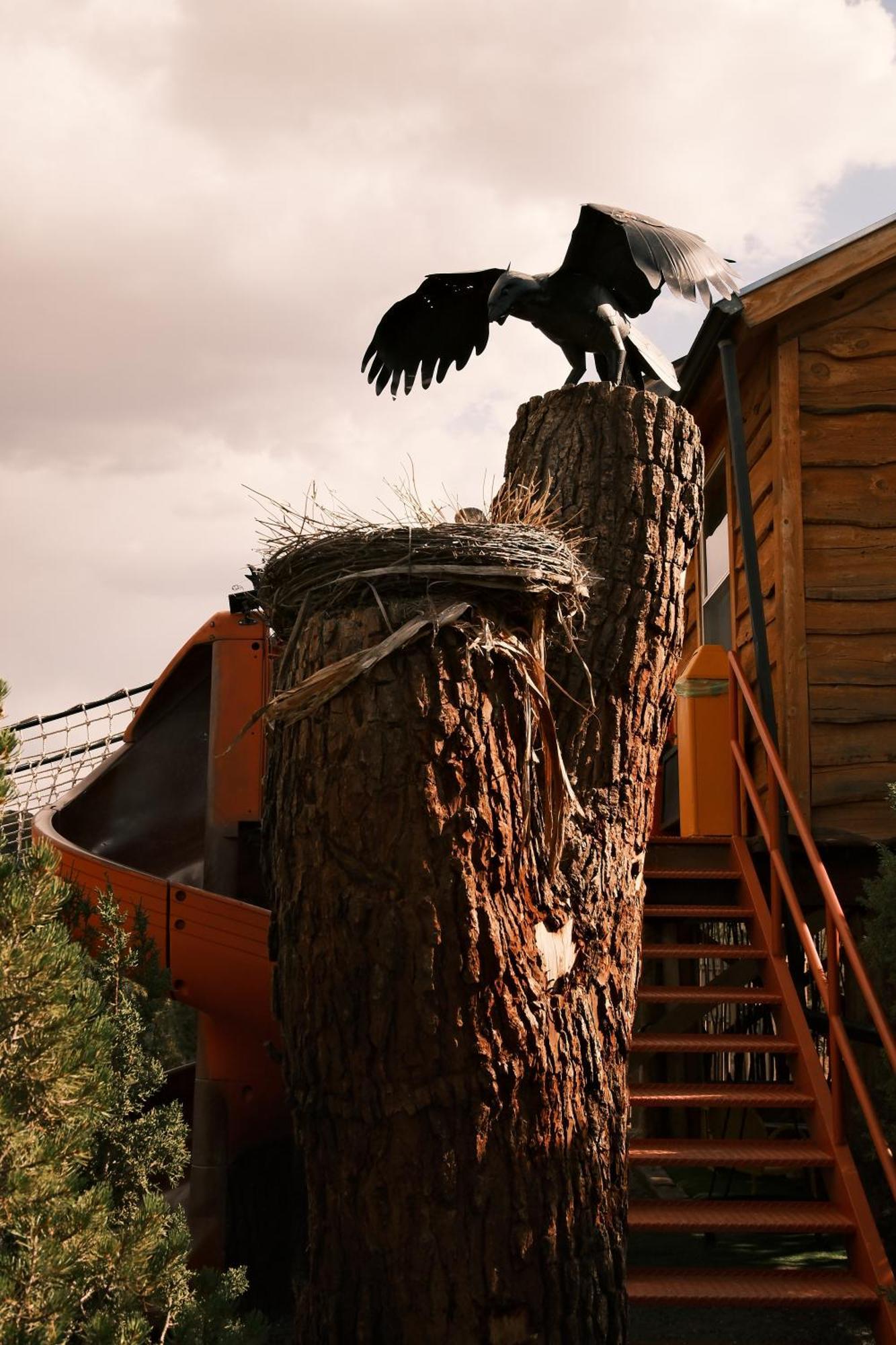 Crows Nest Treehouse At El Mstico Ranch Villa Nogal Ngoại thất bức ảnh